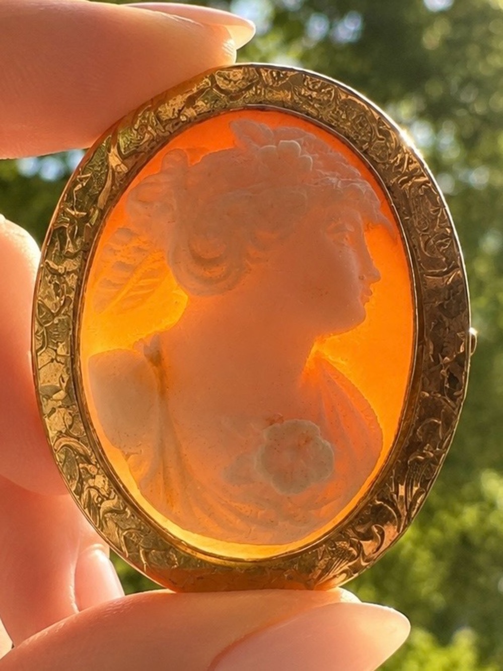 Victorian 10k Yellow Gold Carved Shell Classical Cameo Brooch 6.4 gram Antique - Picture 9 of 9